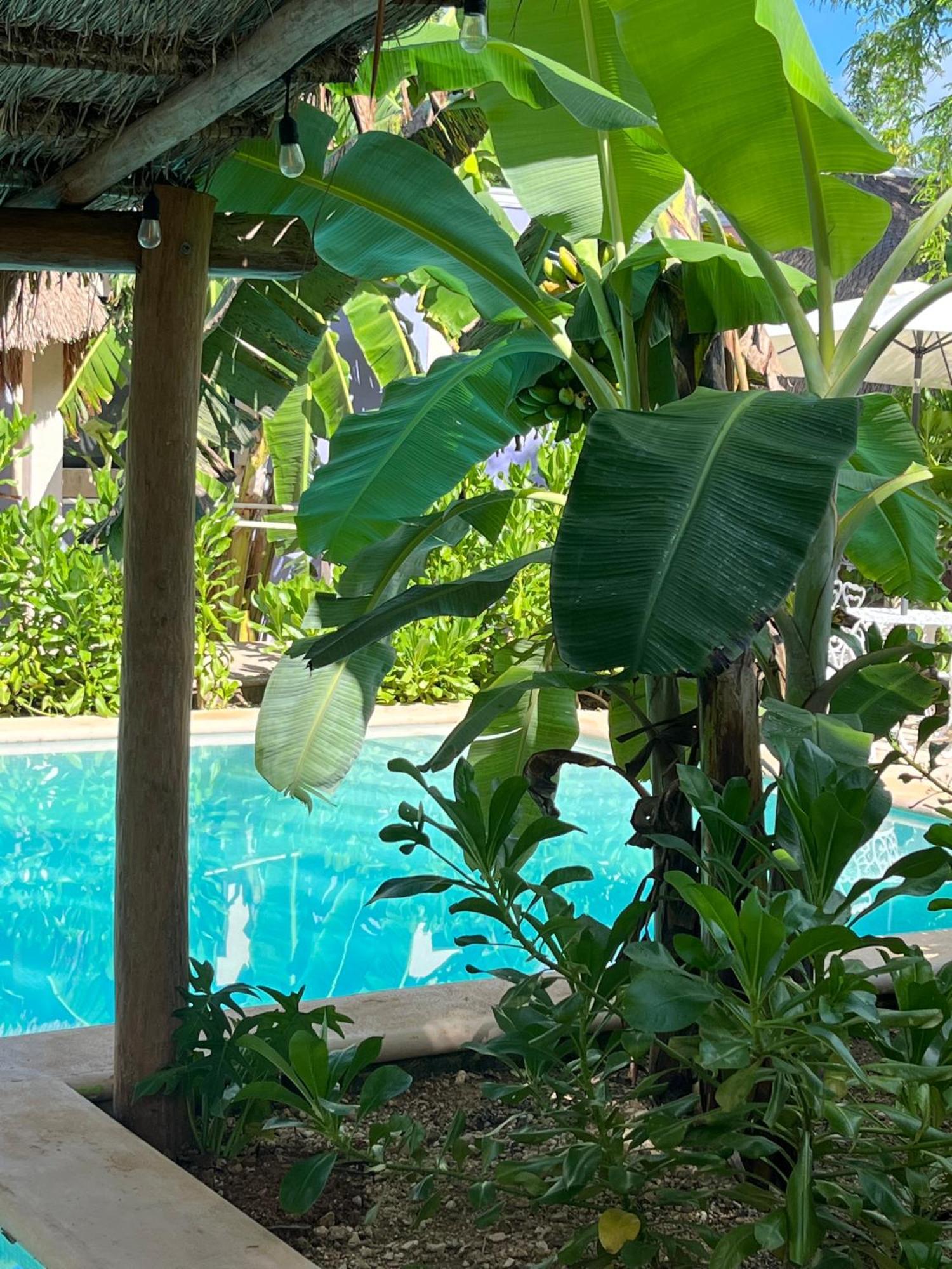 Villas Tikuch ภายนอก รูปภาพ